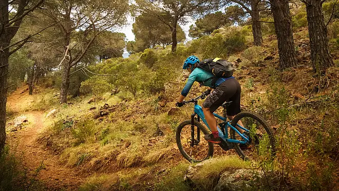 Flowige Wald Trails auf Elba